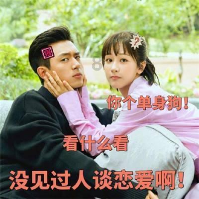 逗小猴开心系列165
